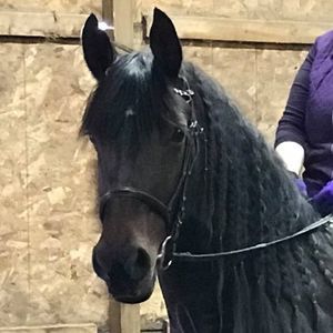 Meet your Posher, Kathy